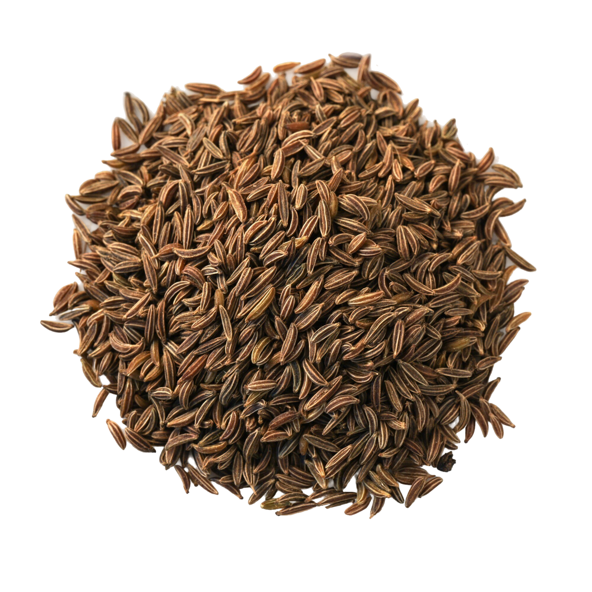 Caraway Powder
