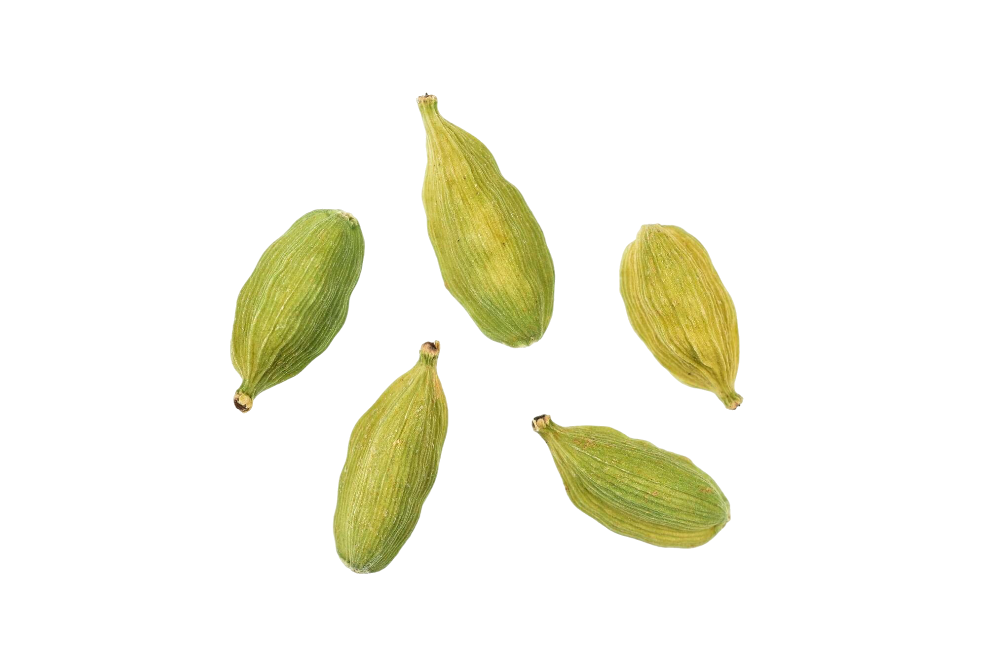 Cardamom