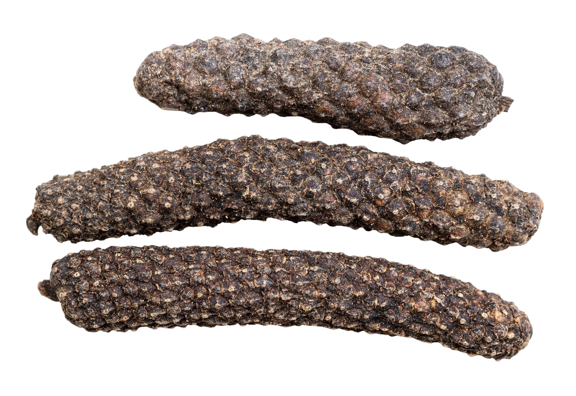 Pippali (Long Pepper)