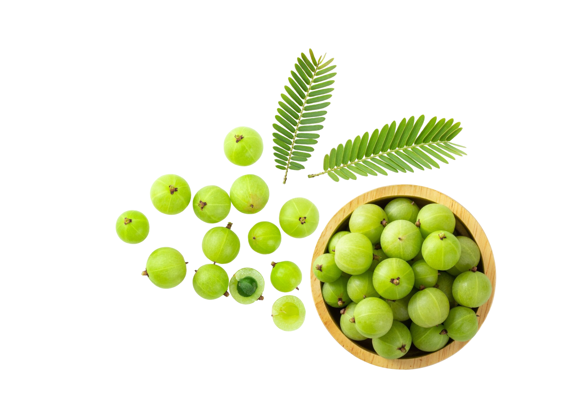 Amla Powder