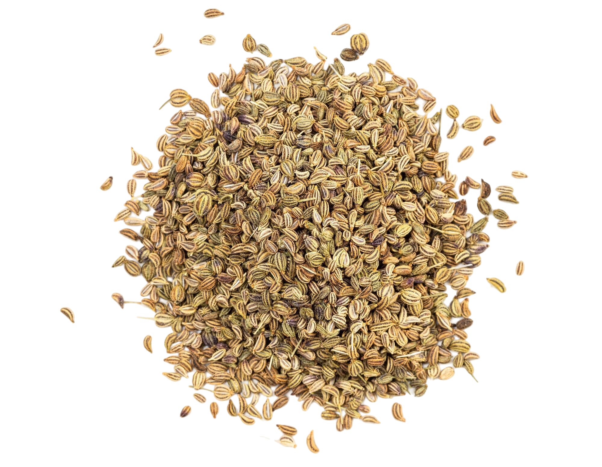 Ajwain Powder